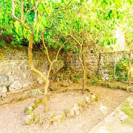 Villetta Indipendente Con Terrazza Apartment Ischia